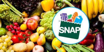 Confirmed - SNAP will provide $975 this month to families of four in the US. Check to see if you qualify
