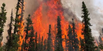 Neither hurricanes nor wars - fires in Alberta cripple 7% of Canada's oil production and threaten to raise gasoline prices in the U.S.