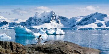 Neither dinosaurs nor glaciers - the amazing lost world emerging from Antarctic depths - prehistoric life that remained buried