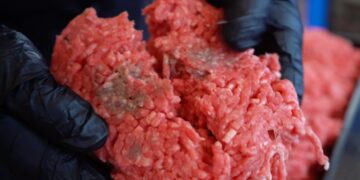 No smell, no best-before date - the key to knowing if brown meat is safe lies in this detail that few know about