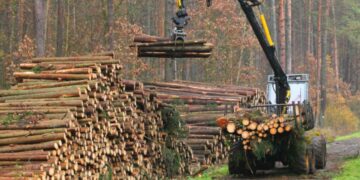 It's official - the human impact on the planet began in 1874 and science has just proved it with real images