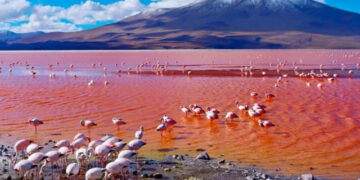 Farewell to life - the lake in Tanzania that turns animals into mummified statues and hides a landscape as beautiful as it is deadly