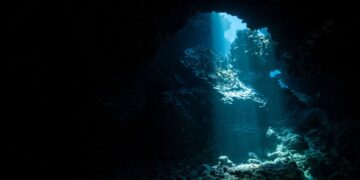 It's official - the color of the ocean is changing due to climate change and could have devastating consequences