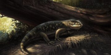 An old jar in a museum is opened and a goblin-like lizard that lived with the dinosaurs 76 million years ago is discovered