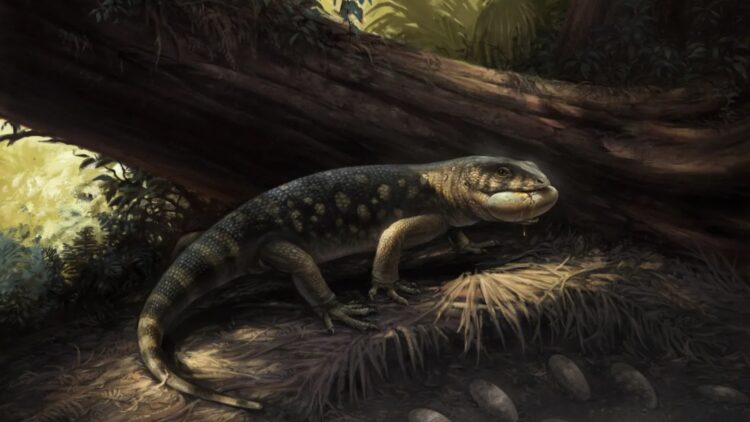 An old jar in a museum is opened and a goblin-like lizard that lived with the dinosaurs 76 million years ago is discovered