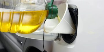 Neither olive oil nor coconut oil - sunflower oil reveals an unexpected benefit that could put it in first place