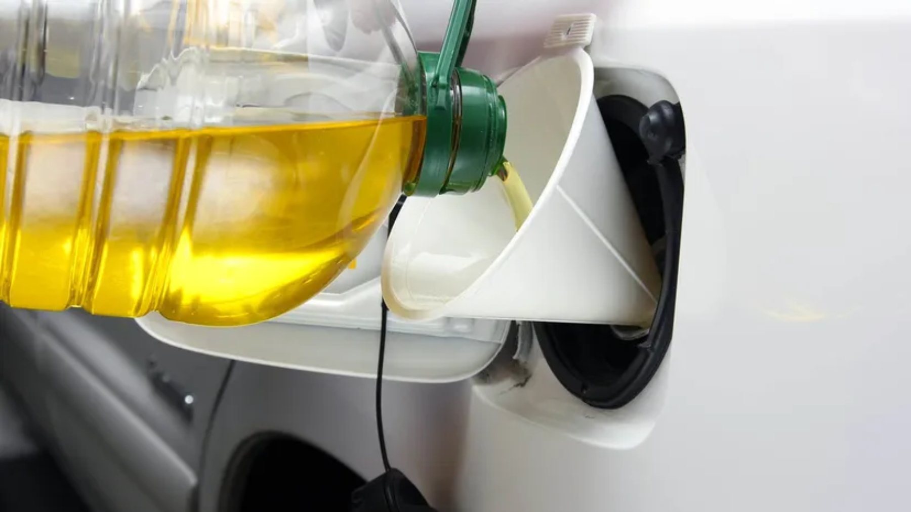 Sunflower Oil: From Cooking to Fueling Cars, the Future of Clean Energy