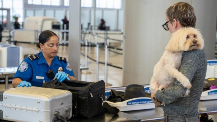 Goodbye to traveling with pets—the TSA imposes stricter new rules, and thousands of travelers could face fines or penalties