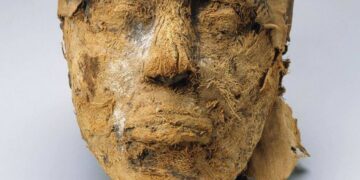Goodbye to myths about Ancient Egypt - the DNA of a potter from the Pyramid Age reveals never-before-seen genetic data