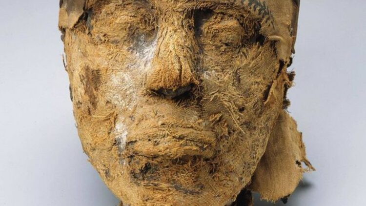 Goodbye to myths about Ancient Egypt - the DNA of a potter from the Pyramid Age reveals never-before-seen genetic data 1 Goodbye to myths about Ancient Egypt - the DNA of a potter from the Pyramid Age reveals never-before-seen genetic data