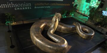 Scientists in shock - monstrous snake found that weighs more than a car and keeps growing