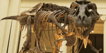 Confirmed - it was a series of volcanic winters that triggered the mass extinction that gave way to the dinosaurs