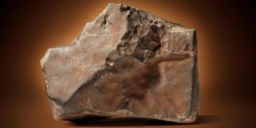 Neither diamonds nor gold - the world's most expensive meteorite could exceed $4 million and it's a real piece of Mars