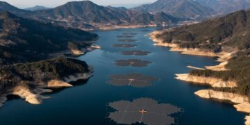 It's official - South Korea revolutionizes solar power with a floating field of 92,000 flower-shaped panels already powering 60,000 homes