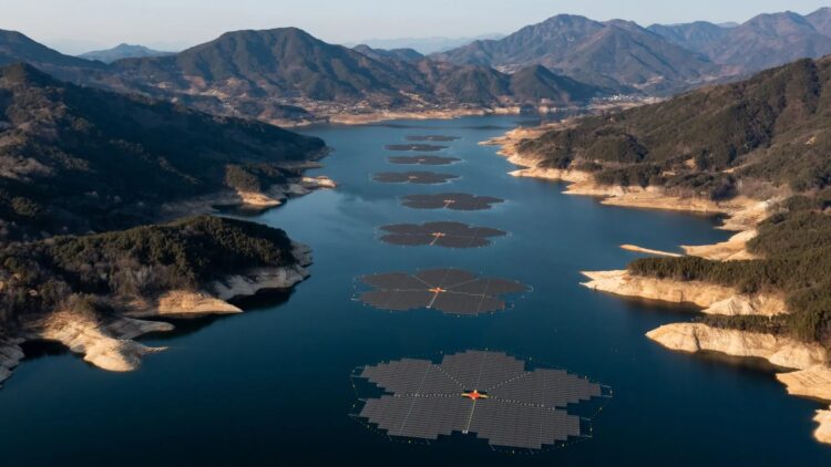 It's official - South Korea revolutionizes solar power with a floating field of 92,000 flower-shaped panels already powering 60,000 homes