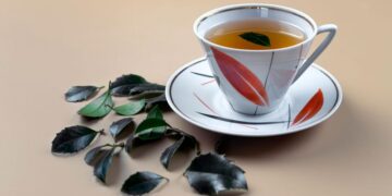 Goodbye coffee—Yaupon tea is gaining ground in the US following new tariffs and promises to revolutionize your daily energy intake