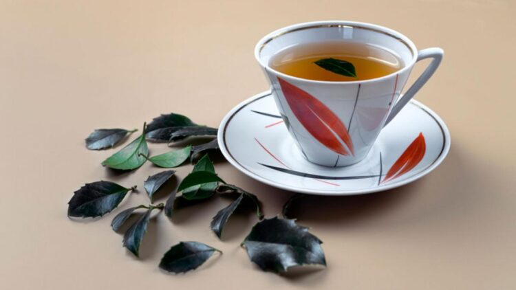 Goodbye coffee—Yaupon tea is gaining ground in the US following new tariffs and promises to revolutionize your daily energy intake