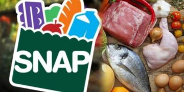 It's official - Texas state of rain emergency opens door to extra SNAP benefits for thousands of households