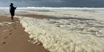 Goodbye to the reefs—this toxic algae is spreading unchecked, destroying corals and turning the oceans into veritable underwater deserts