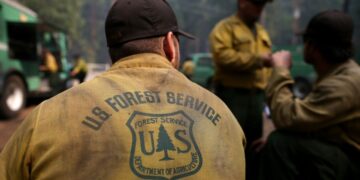 Goodbye to the Forest Service - up to 9 regional offices eliminated and the US government restructures its forest management