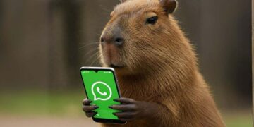 WhatsApp activates Capybara mode and everyone wants to know how to unlock this secret feature that is taking social media by storm—here's how you can do it