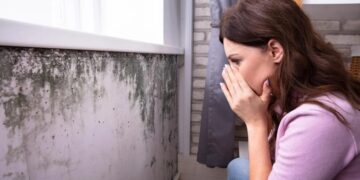 What no one told you—the trick of detergent on windows works as a barrier against condensation and mildew