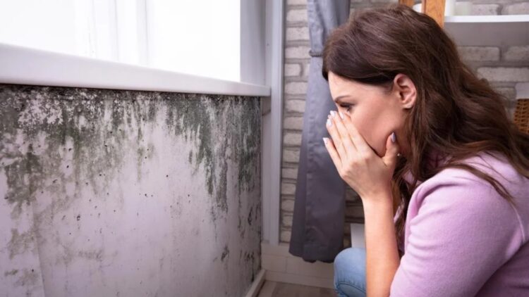 What no one told you—the trick of detergent on windows works as a barrier against condensation and mildew 1 What no one told you—the trick of detergent on windows works as a barrier against condensation and mildew