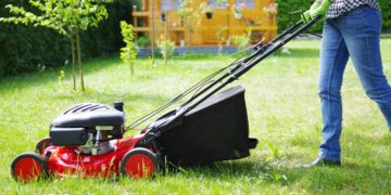 Revealed by experts—the exact time you should mow your lawn to keep it green, strong, and disease-free
