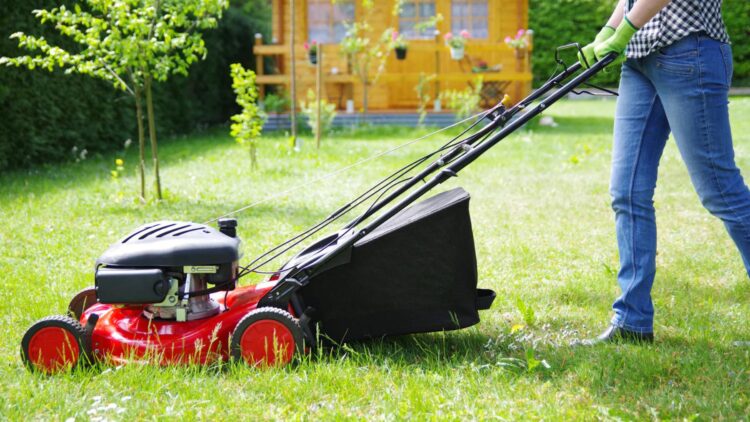 Revealed by experts—the exact time you should mow your lawn to keep it green, strong, and disease-free