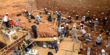 Paleontologists find irrefutable evidence that infant cannibalism was practiced in Atapuerca