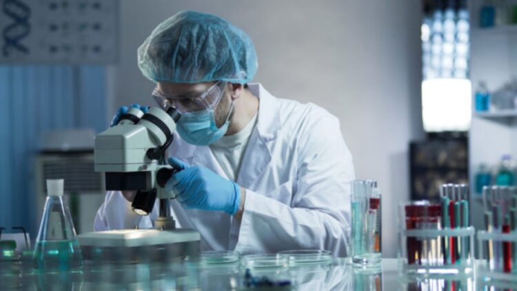 Goodbye to everything we knew—scientists confirm in 2025 the craziest theory about vitamin B1 proposed in 1958