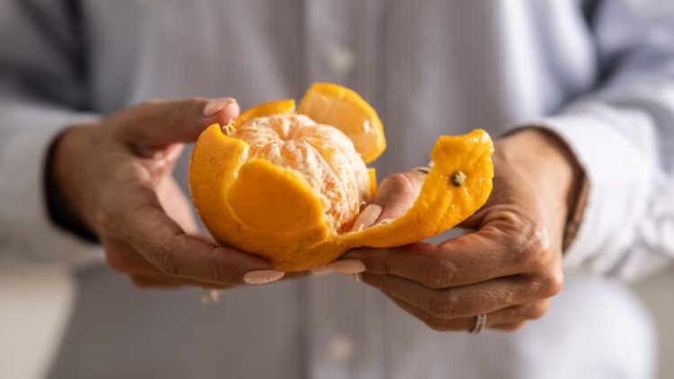 No insecticides or chemicals - the trick with tangerine peels that keeps mosquitoes away and leaves your house smelling great 1 No insecticides or chemicals - the trick with tangerine peels that keeps mosquitoes away and leaves your house smelling great