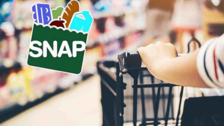 Farewell to convenience stores-SNAP cuts put thousands of small grocers in the U.S. at risk-here's how it affects you 1 Farewell to convenience stores-SNAP cuts put thousands of small grocers in the U.S. at risk-here's how it affects you