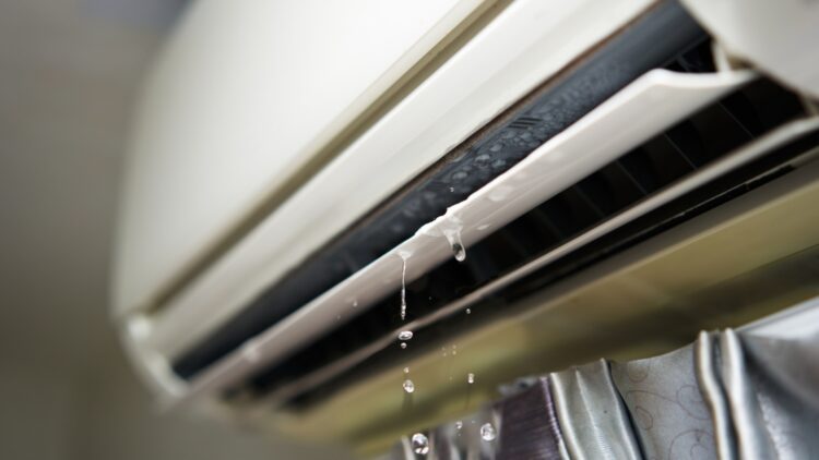 Confirmed—5 ways you can reuse the water generated by your air conditioner 1 Confirmed—5 ways you can reuse the water generated by your air conditioner