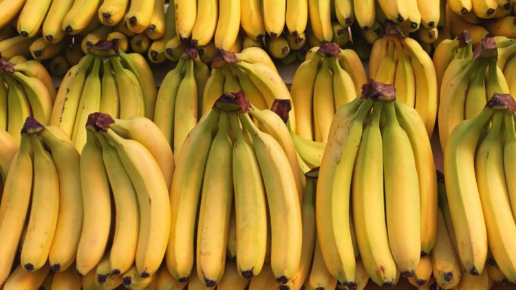 Neither in the sun nor in the fridge - This expert reveals the simple home trick to preserve our bananas so that they do not turn black before their time 1 Neither in the sun nor in the fridge - This expert reveals the simple home trick to preserve our bananas so that they do not turn black before their time