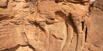 Goodbye to what we believed about ancient art—the camel engravings in Al-Jawf are older than Stonehenge and the pyramids of Egypt