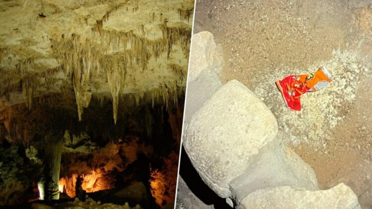 A tourist throws a bag of Cheetos on the ground and triggers an irreversible catastrophe in one of the largest and most protected caves in the US 1 A tourist throws a bag of Cheetos on the ground and triggers an irreversible catastrophe in one of the largest and most protected caves in the US