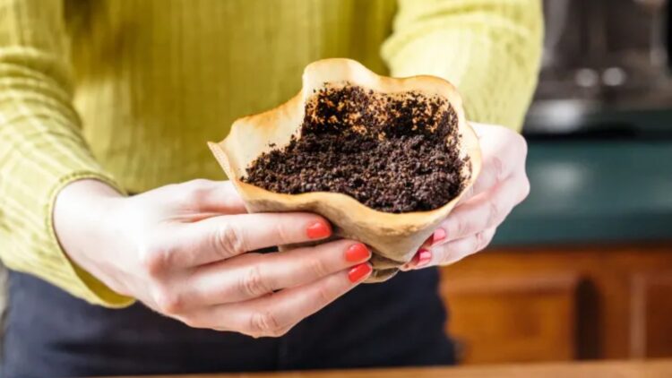 Confirmed—don't throw away your coffee grounds! These 10 homemade tricks turn them into cleaners, fertilizers, air fresheners, and even beauty treatments