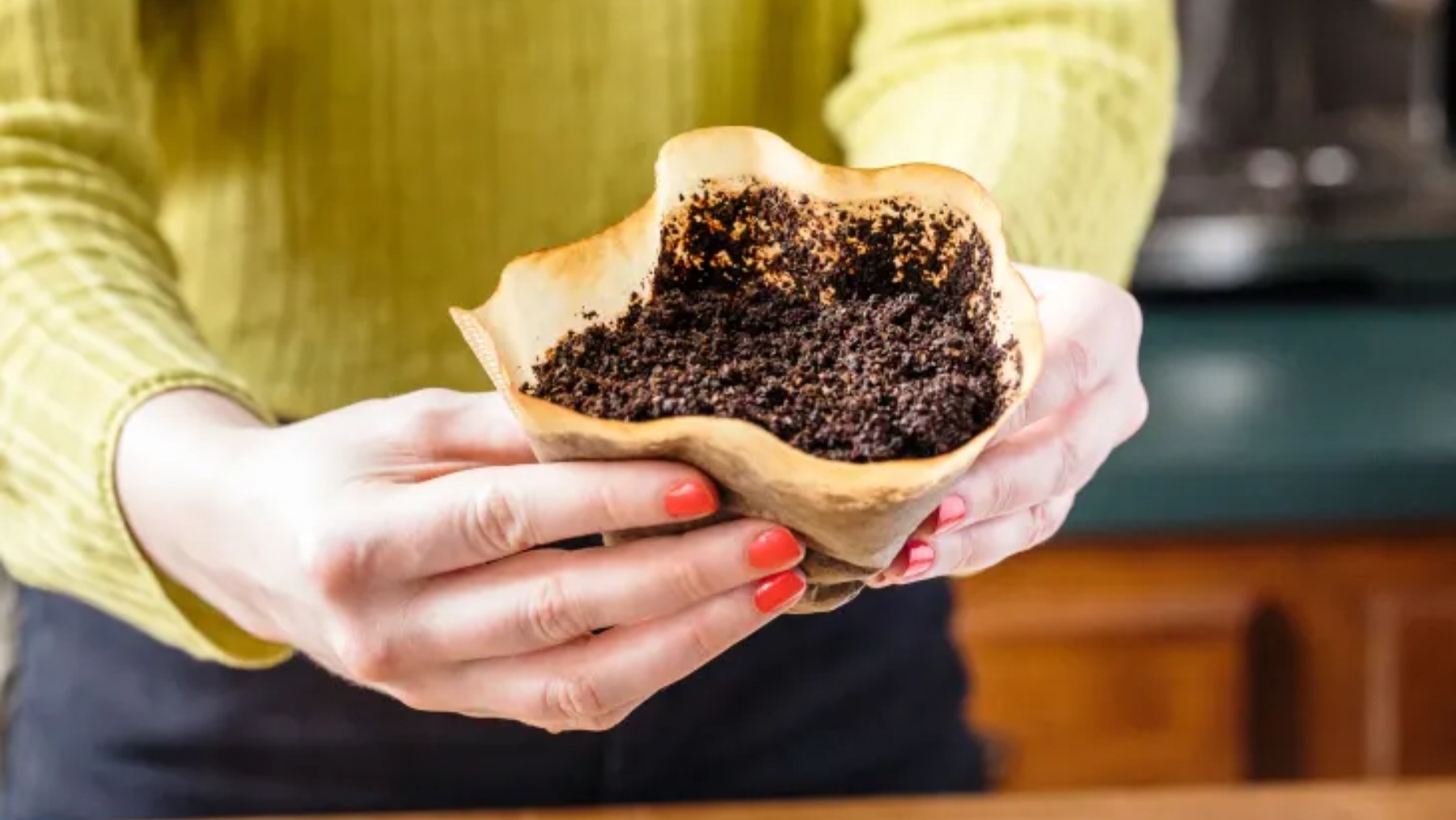 Confirmed—don't throw away your coffee grounds! These 10 homemade tricks  turn them into cleaners, fertilizers, air fresheners, and even beauty  treatments