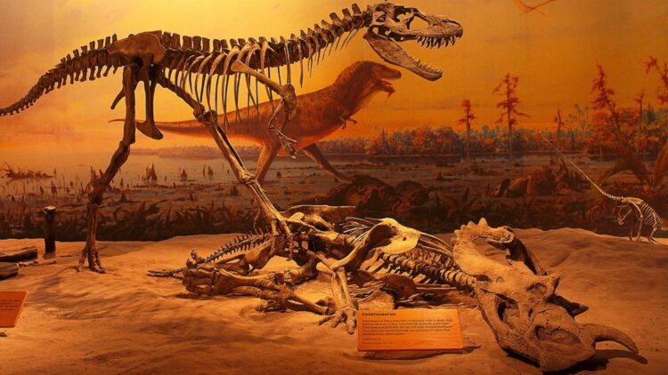 Confirmed—dinosaurs not only ruled the Earth, they also shaped rivers, soils, and forests until the asteroid wiped them out forever 1 Confirmed—dinosaurs not only ruled the Earth, they also shaped rivers, soils, and forests until the asteroid wiped them out forever