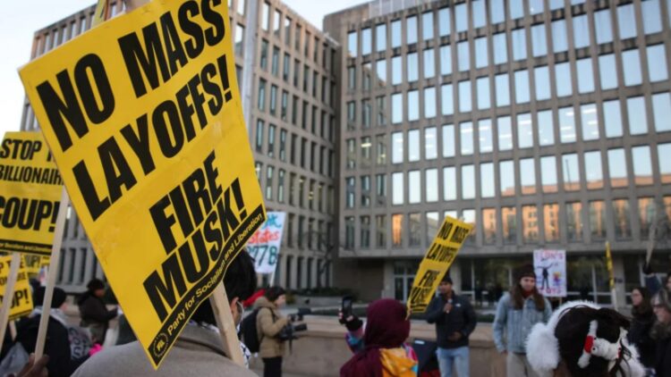 Neither DOGE nor Musk could sustain cuts - White House reverses course and calls back hundreds of workers 1 Neither DOGE nor Musk could sustain cuts - White House reverses course and calls back hundreds of workers