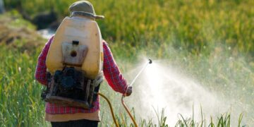 Confirmed—this common pesticide causes widespread brain damage in children who were exposed before birth