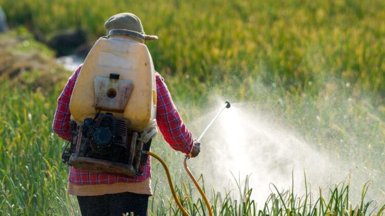Confirmed—this common pesticide causes widespread brain damage in children who were exposed before birth