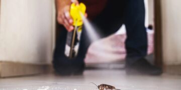 It's official—the National Pesticide Information Center reveals that your refrigerator can harbor entire colonies of cockroaches