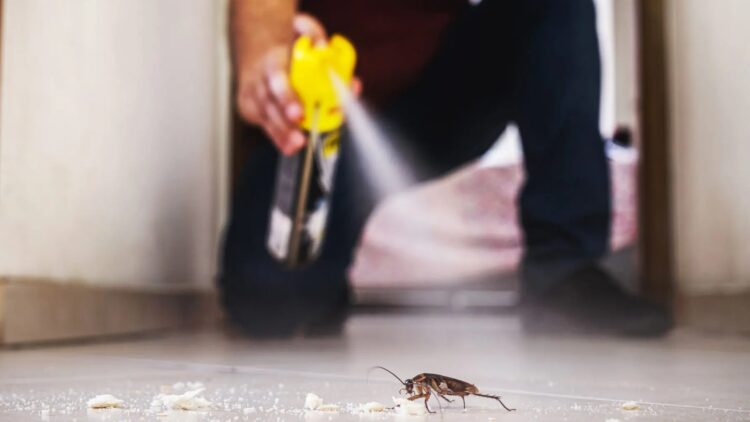 It's official—the National Pesticide Information Center reveals that your refrigerator can harbor entire colonies of cockroaches 1 It's official—the National Pesticide Information Center reveals that your refrigerator can harbor entire colonies of cockroaches