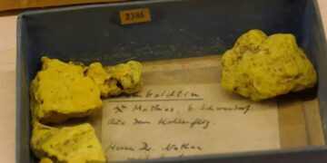 Confirmed—fragments of Humboldtine, one of the world's rarest minerals, found in Germany, hidden in a collection forgotten for more than 75 years