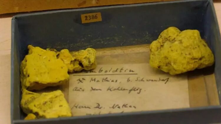 Confirmed—fragments of Humboldtine, one of the world's rarest minerals, found in Germany, hidden in a collection forgotten for more than 75 years