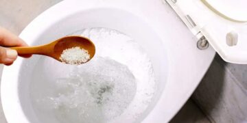 Why you should pour salt into the toilet and how often to do it—these are the benefits you will get in your home