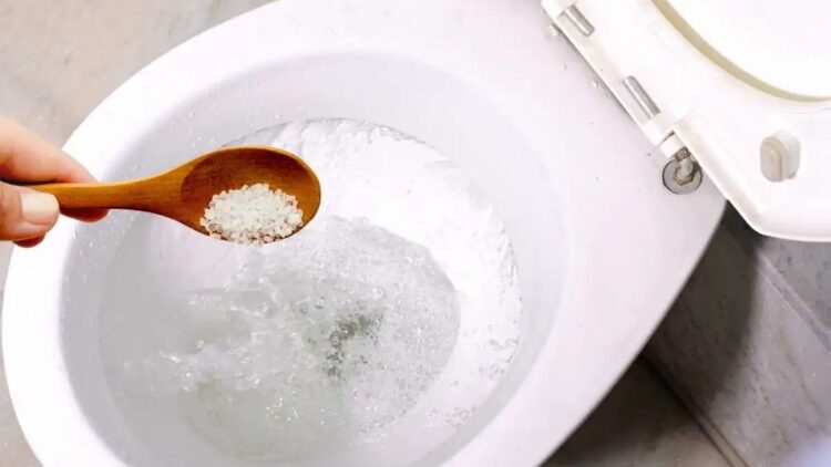 Why you should put salt in the toilet and how often to do it: these are the benefits you will get in your home according to experts 1 Why you should pour salt into the toilet and how often to do it—these are the benefits you will get in your home