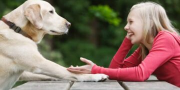Talking to your dog or cat isn't crazy—psychology reveals what this gesture really means and why it could be a sign of empathy, emotional intelligence, and even creativity